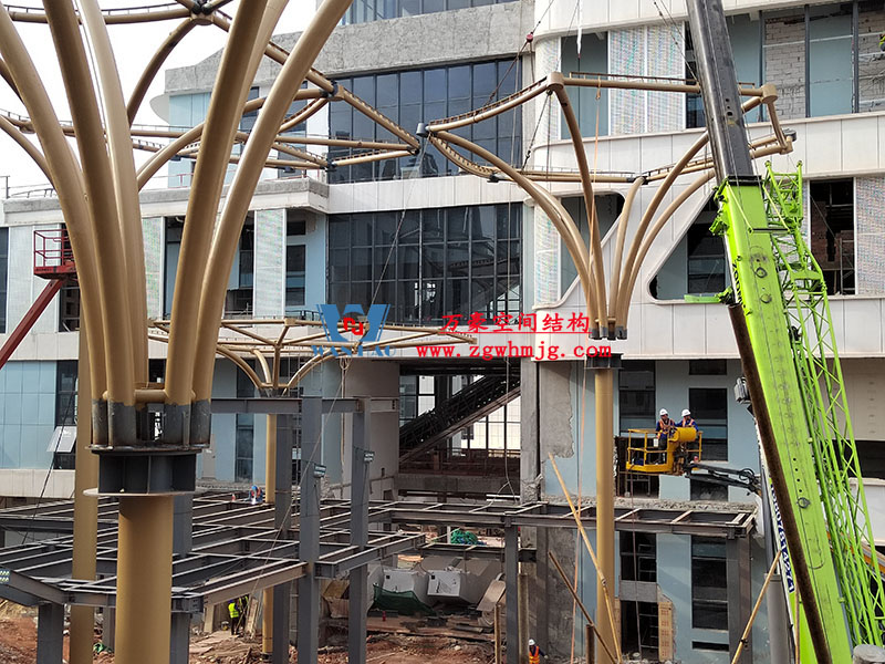 中國東盟特色商品匯聚中心膜鋼構工程完工